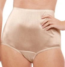 Teri's Soft Silky Nylon Panty Brief - 3 Pair 