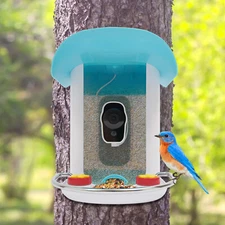 Outdoor Smart Bird Feeder Solar Wifi Smart Bird House W/ AI Camera Live View