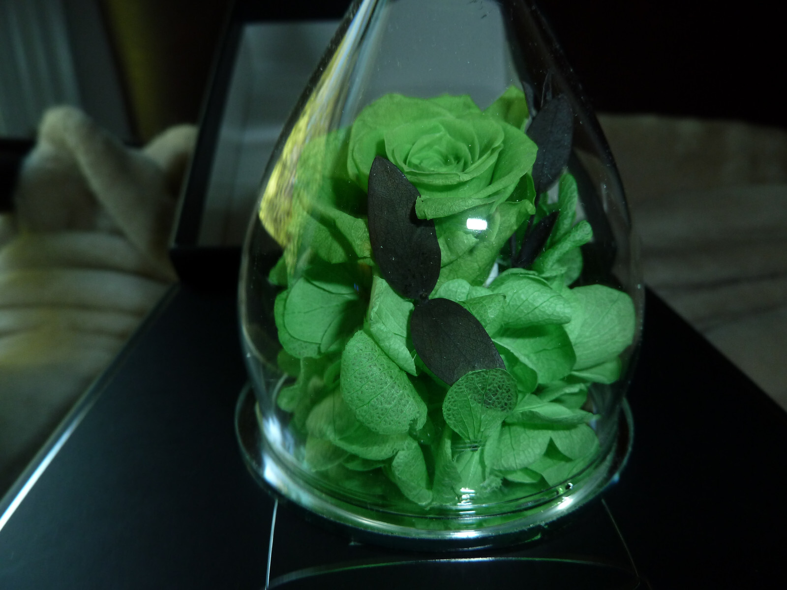 Hoomna Zodiac Forever Preserved Real Rose birthday gift for zodiac