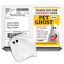 Prank Mail Pet Ghost Sent Directly To Your Friends To Embarrass Them!
