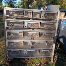 Mice Cage Or Breader Or Store For Mice