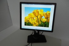 LOT-10 Dell P1913S Monitor 19" VGA DVI w/2-Port USB P1913Sb P1913Sf 39WWP NWXT6
