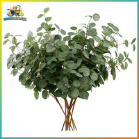KüNstliche Eukalyptus Zweige 6Er Set FüR Hochzeit & Dekoration