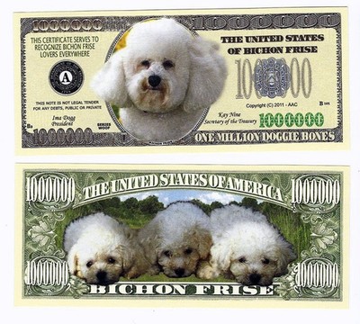 Dollar Bichon Frise One Million Doggie Bones