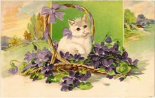 PC CATS, WHITE CAT WITH FLOWERS, Vintage EMBOSSED Postcard (b46698)