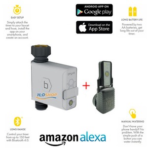 orbit bhyve google home