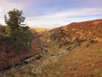 Photo 6x4 The Linn Burn south of Westburnhope Linn Burn/NY8853  c2011