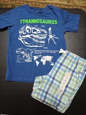 Boys Sz 4-5 Dinosaur Tshirt And NEW Shorts Outfit