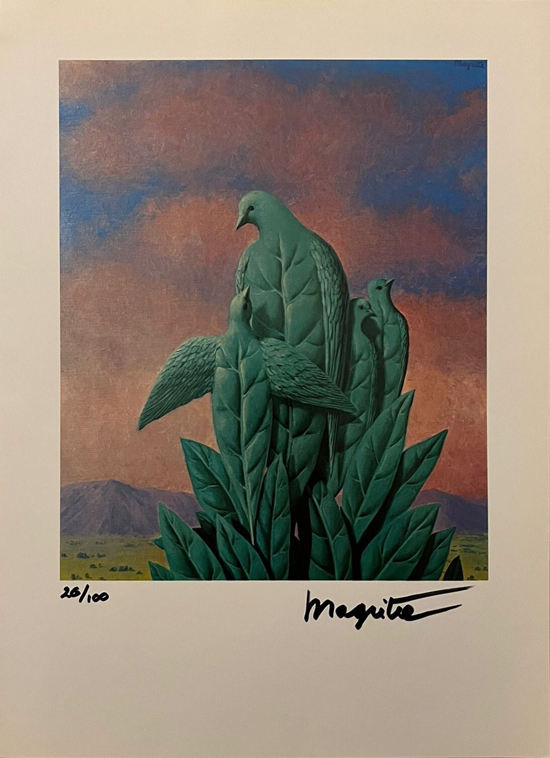 Picture 2 of 12