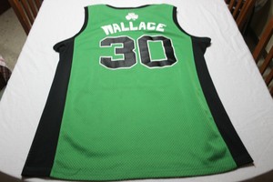 camiseta baloncesto boston celtics