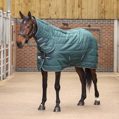 Shires Tempest Original 200g Kombi Stalldecke - Smaragd
