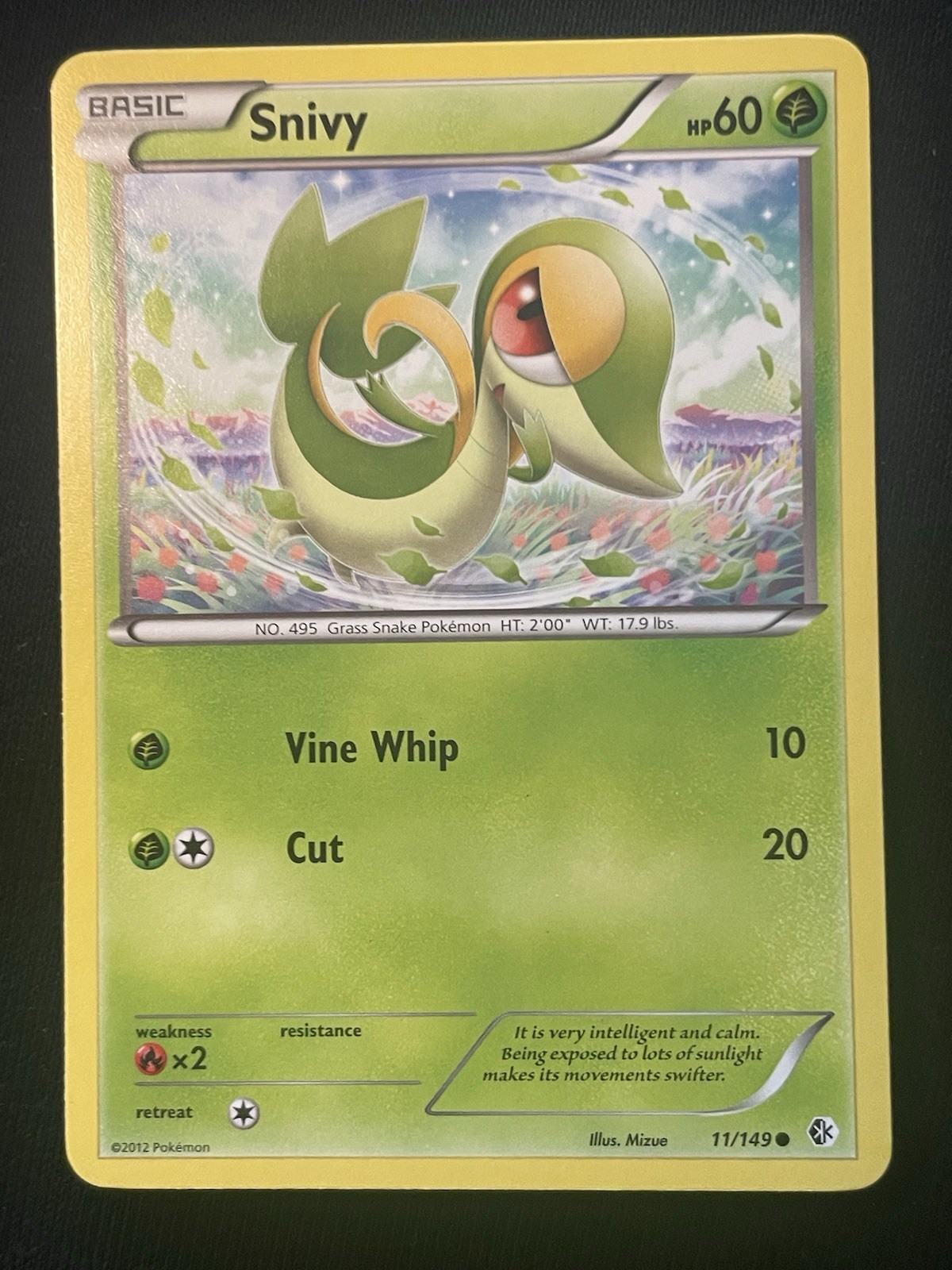 Snivy 11/149 Boundaries Crossed Regular LP Condition