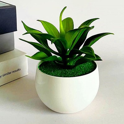 Innenhöfe Künstliche Sukkulenten Kunststoff PVC Partys Wohnkultur Blumendekor