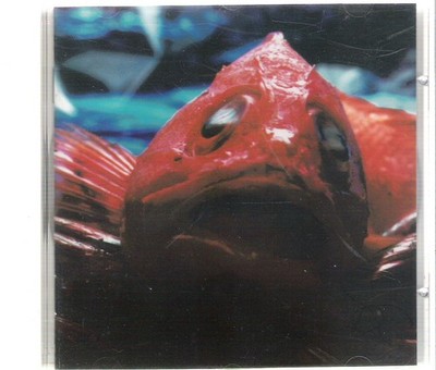 USURA - Hake Romana - CD Neu
