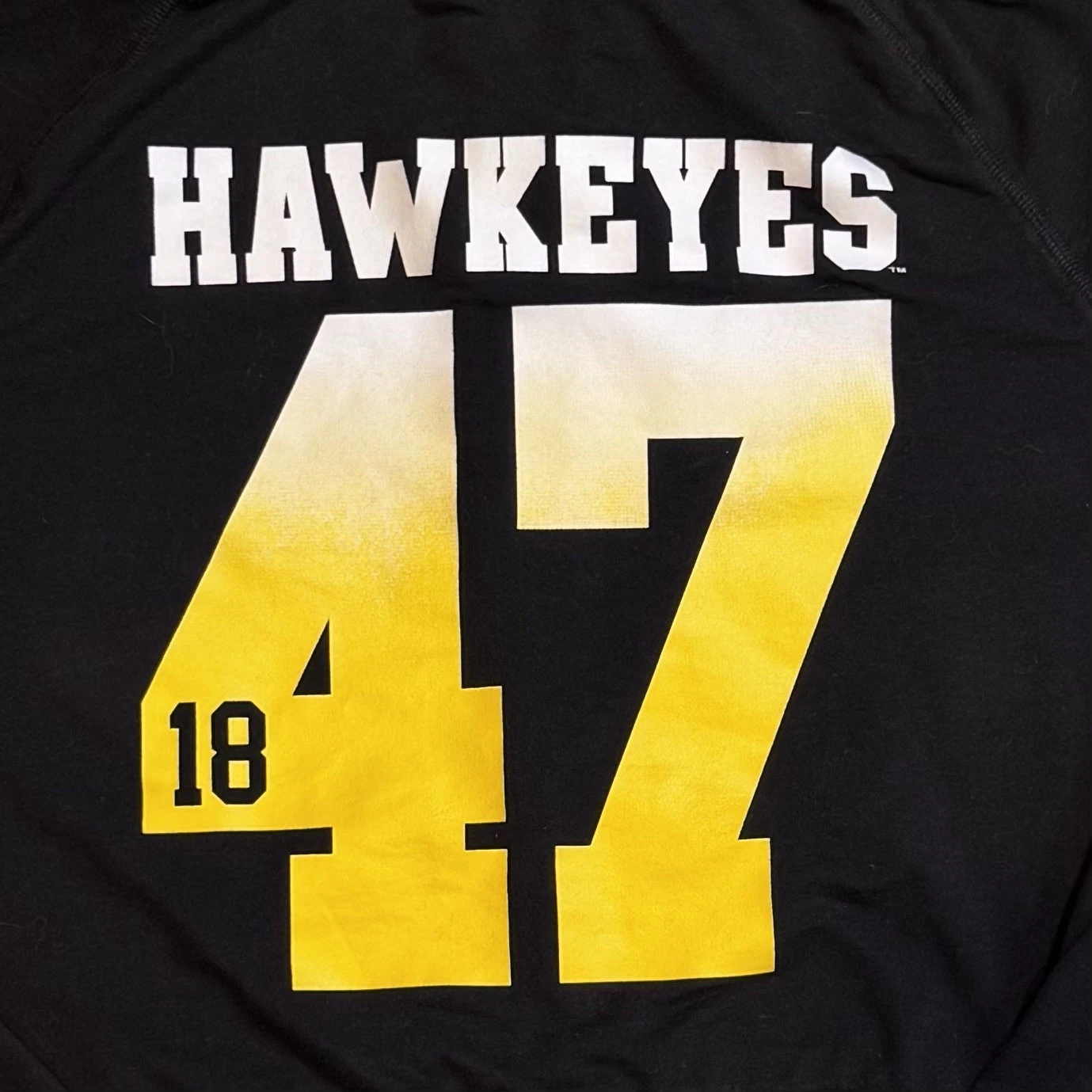 UNDERCOVER Felpa con cappuccio e zip intera Victoria's Secret ROSA Iowa Hawkeyes Hawks taglia media