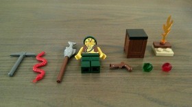 LEGO Pirates: Pirate Survival (8397) 100% Complete w Minifigures & Instructions