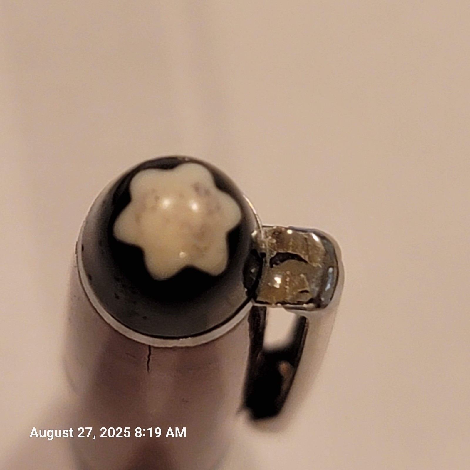 Picture 12 of 12