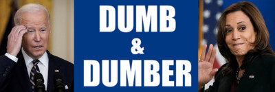 4x12 inch LARGE Dumb & Dumber Bumper Sticker (anti biden harris pro trump funny)