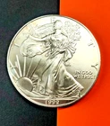 1999 SILVER EAGLE Coin- 1oz .999 Pure -THESE ARE GETTING HARD TO FIND~ BUY NOW!!