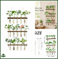 3 Tier Wall Hanging Propagation Stations with 15 Glass Test Tubes, Plant Terrari