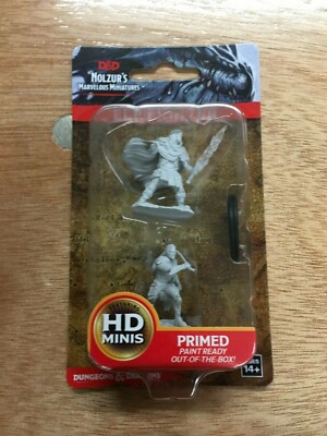 Elf Fighter (männlich) - D&D - Wizkids Nolzur's Marvelous Miniatures