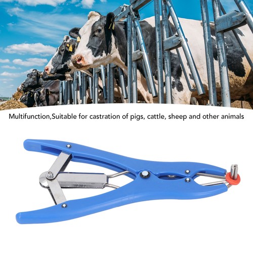 Goat Banding Kit Castration Bander Bloodless With 100pcs Castration Rings For - Picture 7 of 12