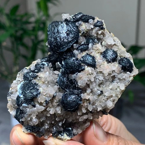 124G Natural Specularite of Tourmaline Mica Crystal quartz cluster /minerals