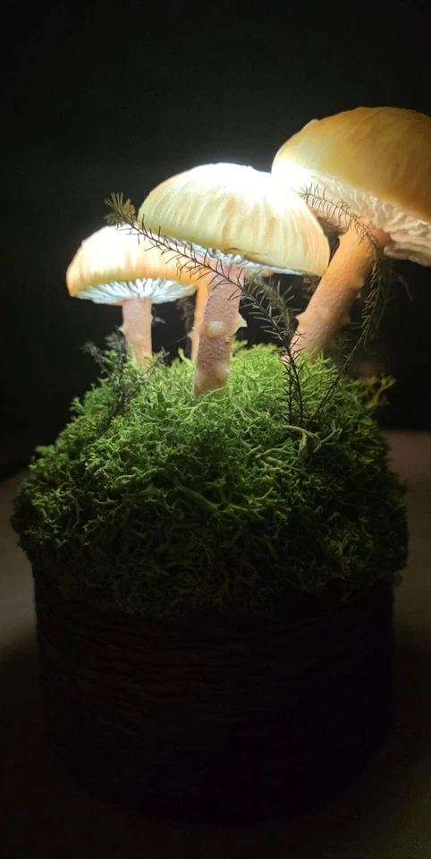 Mushroom And Moss Lighted Decor Four Mushrooms 3light That Illuminates The 4th - Image 4 of 4