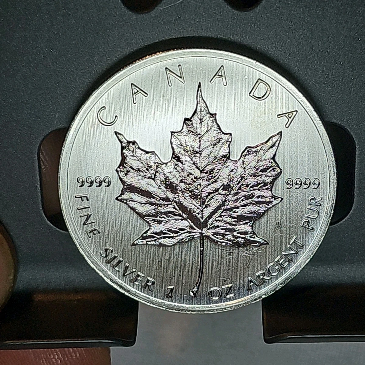 Canadian Maple Leaf 2012 Silver Bullion Coins for sale | eBay
