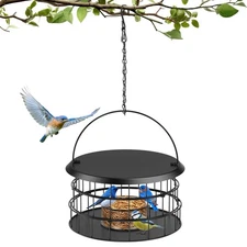 Hanging Bird Feeder, Metal Caged Squirrel Proof Bluebird Feeders - Birdfeeder