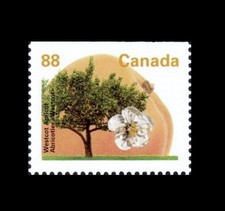 Canada MNH #1373as Fruit Tree ?Westcot Apricot? Booklet Stamp - 1994