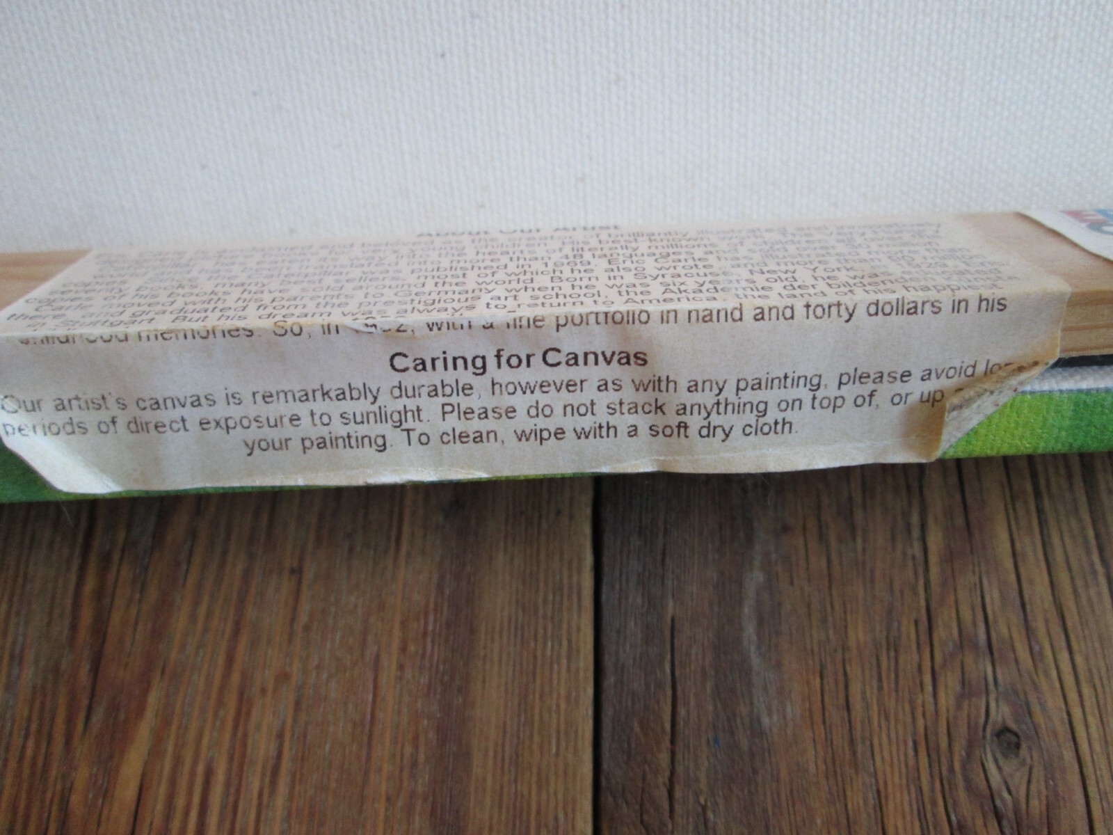 Oopsy daisy Eric Carle's Brown Bear Large Canvas Wall Art 18"x24" Stretched