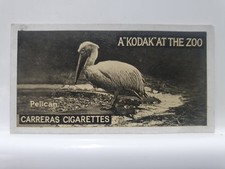 Carreras Cigarette Card, Kodak At The Zoo, #13 Pelican (RD14)