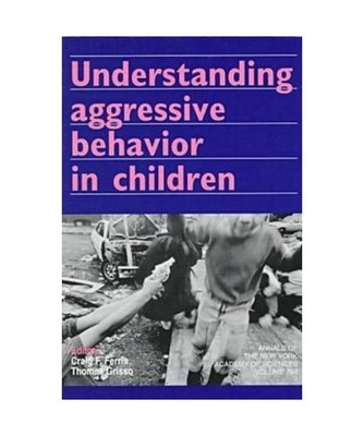 Understanding Aggressive Behavior in Children 