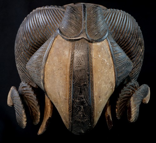 Art Africain - Superbe Masque Bélier Baoulé Baule - Impressive Ram Mask - 30 Cms - Photo 2 sur 11
