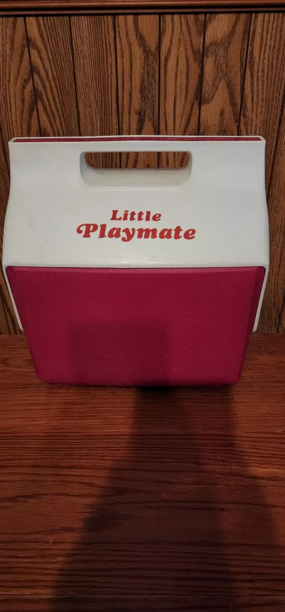 Igloo lunch best sale cooler