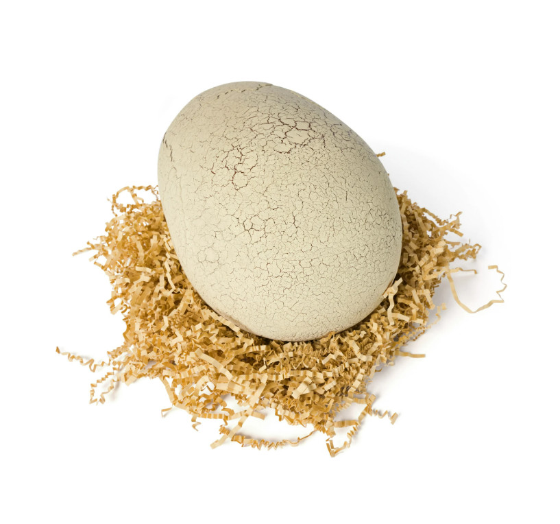 Jurassic World Primal Hatch T-Rex | New Interactive Hatching Dinosaur Egg Toy