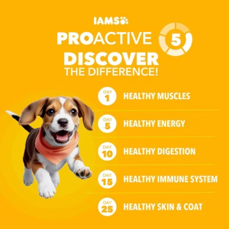 IAMS Proactive Health Chicken Flavor Large Breed Puppy Dry Dog Food