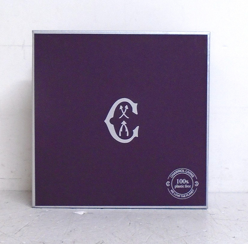 Charriol Forever Eternity Thin Screws Bracelet 2x 1mm Stainless Steel PVD Cables