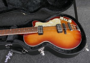 Hofner Bass Case | eBay