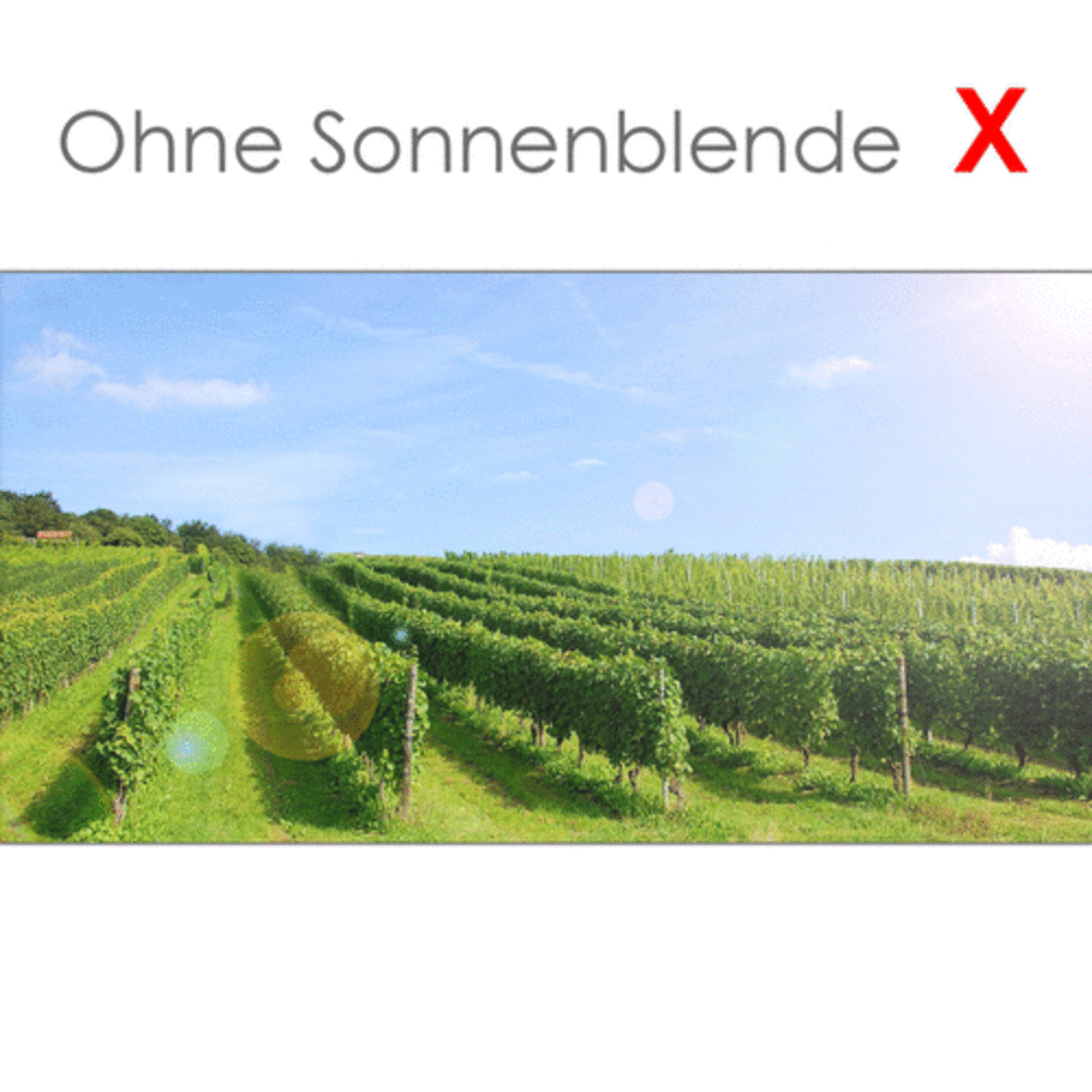 Bild 8 von 8