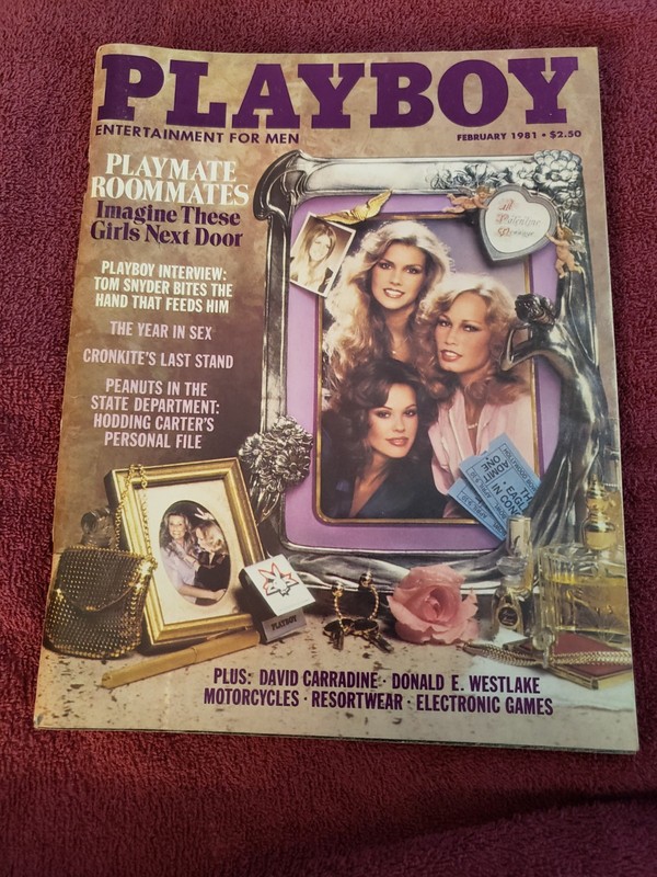 Playboy Magazine February 1981 Girls Next Door Terri Wells Candy Loving