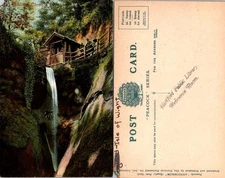 Shanklin Chine Isle of Wight Postcard Peacock Series Divided Back Vintage Color