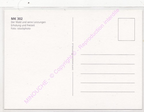 Maximum Card FDC LIECHTENSTEIN The Forest 2009 MK 302 N2 - Picture 2 of 2