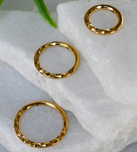 1 Stck. Front Facettierter Stil Scharniert Segment Ring Septum Clicker 316L Chirurgenstahl - Bild 6 von 7