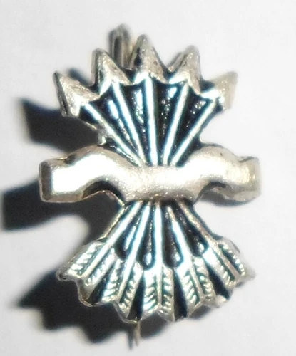 SPAIN FALANGE FASCIST CIVIL WAR PIN BADGE
