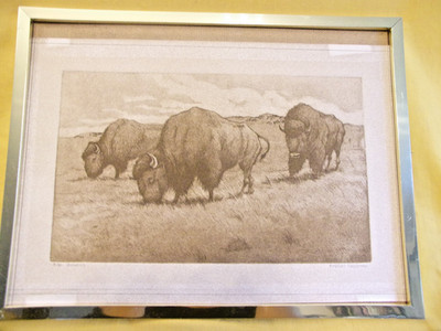 `Grazing´  grasende Bisons in Prärilandschaft, Stich  von Robert Freeman (1939-2