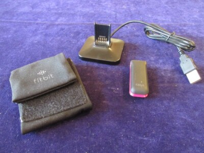 Fitbit F004  Wireless Activity and Sleep Tracker with Charger SZ