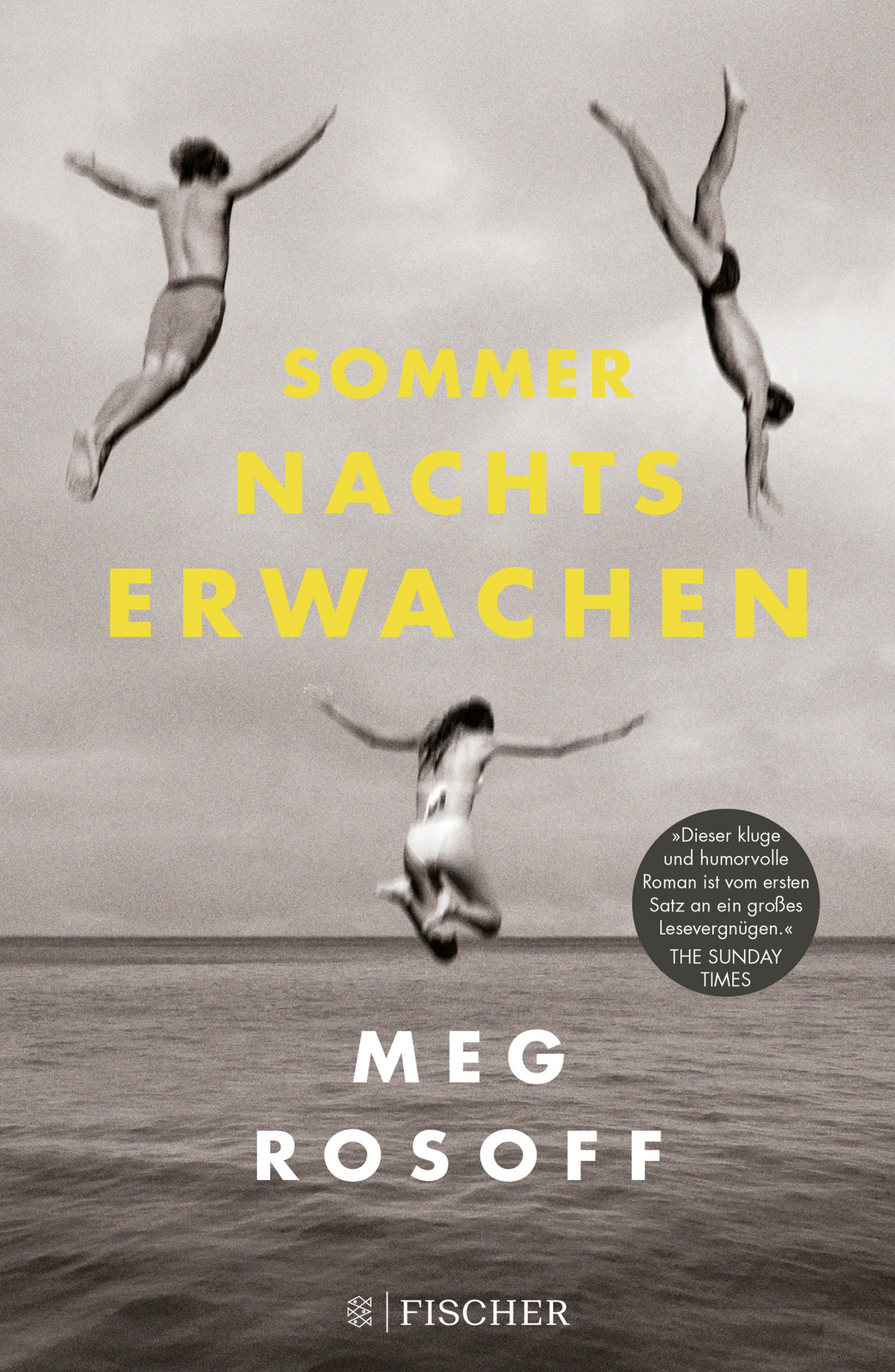 Thumbnail - Meg Rosoff; Brigitte Jakobeit / Sommernachtserwachen
