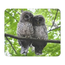 CafePress Cuddling Owls Non-slip Rubber Mousepad, Gaming Mouse Pad (1240349215)